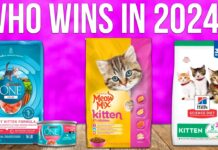 What Is the Best Kitten Food: Expert Guide Best kitten food