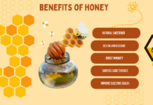 Everything You Want to Know About Raw Organic Honey