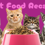 Latest Cat Food Recalls & Safe Feeding Tips for Cats Latest Cat Food Recalls & Safe Feeding Tips for Cats