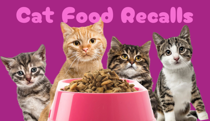 Cat Food Recalls Latest Cat Food Recalls & Safe Feeding Tips for Cats